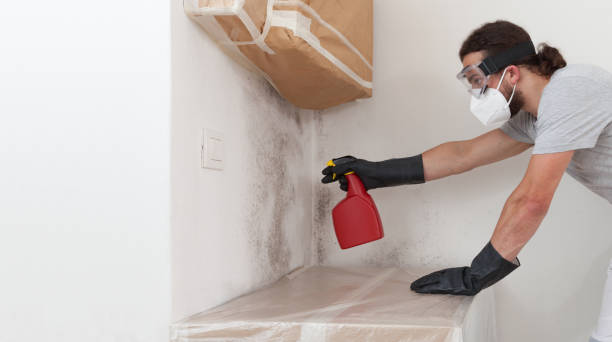 Professional Mold Inspection And Testing technician working in Wayland, MI